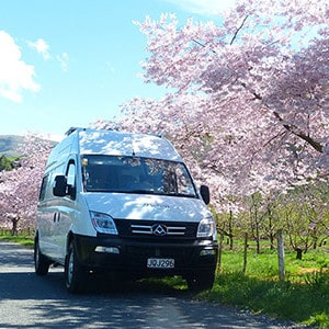 ec-motorhome-3-berth-exterior-front